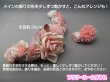 画像6:  [着物・成人式・袴・卒業式・結婚式・ウェディング]バラ・マム・ビーズ花髪飾り 花冠（花かんむり） ピンク